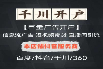 竞价广告策略案例分析